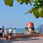 Key West Cockadoodle Cottage On Duval